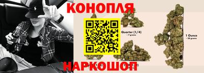 гидра Партизанск