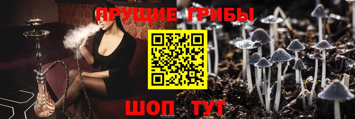 Ступино  Галлюциногенные грибы MAGIC MUSHROOMS  Вход с VPN 